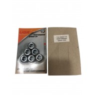 TVS WEGO 110 PERFORMANS BAGA 10 GRM